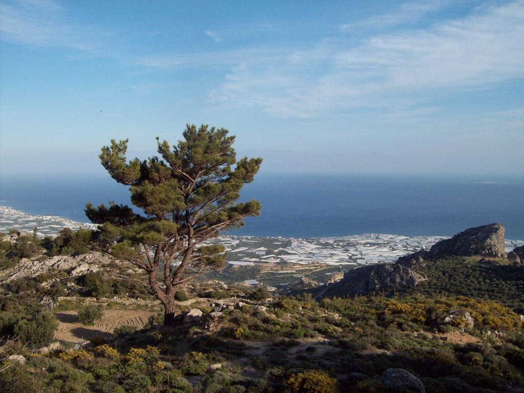 Diktynna Traditional Villas Anatolí Kültér fotó